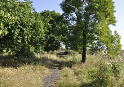 Sedláček Hugo, 2014