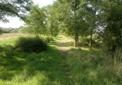 Sedláček Hugo, 2014