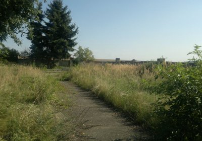 Sedláček Hugo, 2014