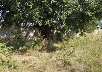 Sedláček Hugo, 2014