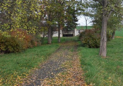 Údlice nový židovský hřbitov, Omnium, 2020