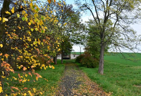 Údlice nový židovský hřbitov, Omnium, 2020