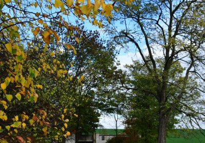 Údlice nový židovský hřbitov, Omnium, 2020