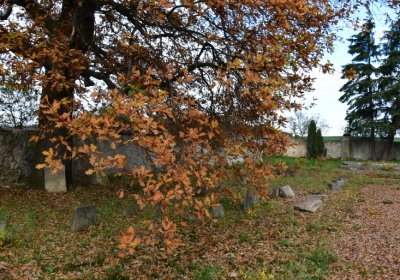 Údlice nový židovský hřbitov, Omnium, 2020