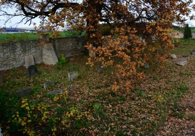 Údlice nový židovský hřbitov, Omnium, 2020