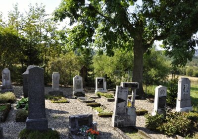 Sedláček Hugo, 2016