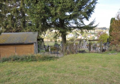 České Hamry, Omnium, 2020