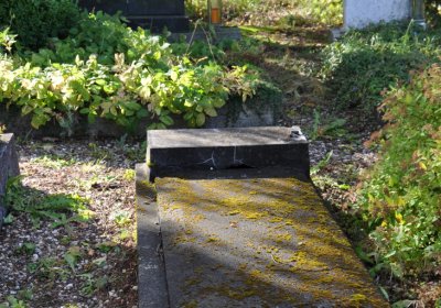 České Hamry, Omnium, 2020