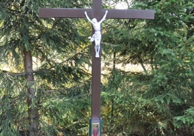 České Hamry, Omnium, 2020