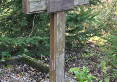 České Hamry, Omnium, 2020