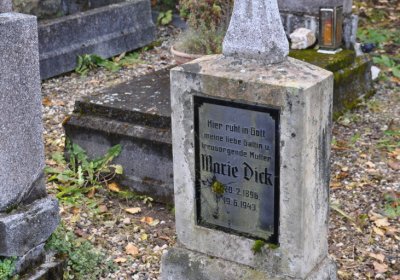 České Hamry, Omnium, 2020