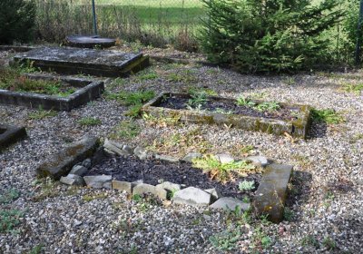 České Hamry, Omnium, 2020