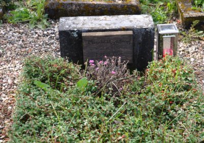 České Hamry, Omnium, 2020