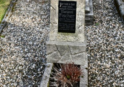 České Hamry, Omnium, 2020