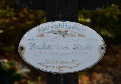 České Hamry, Omnium, 2020