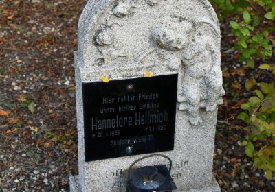 České Hamry, Omnium, 2020