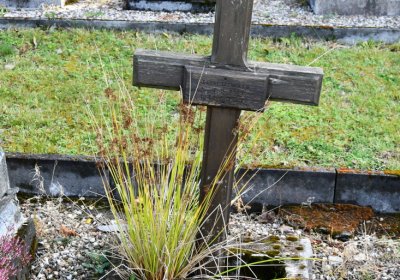 České Hamry, Omnium, 2020