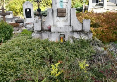 České Hamry, Omnium, 2020