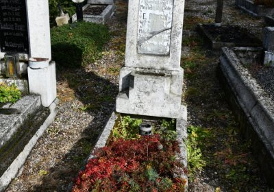 České Hamry, Omnium, 2020