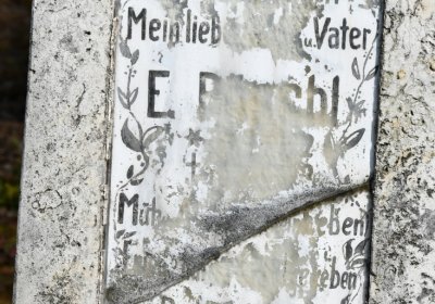 České Hamry, Omnium, 2020