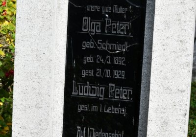 České Hamry, Omnium, 2020