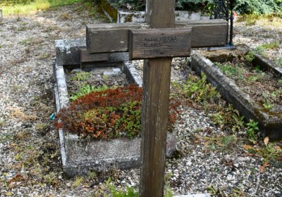 České Hamry, Omnium, 2020