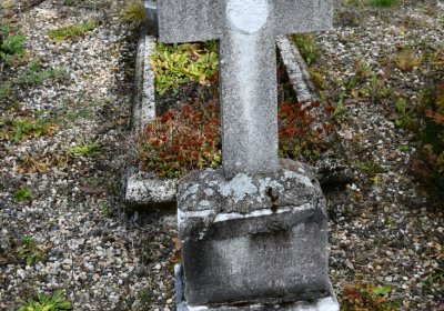 České Hamry, Omnium, 2020