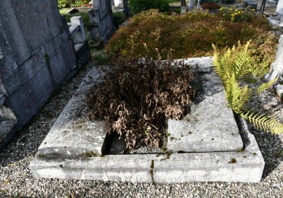 České Hamry, Omnium, 2020