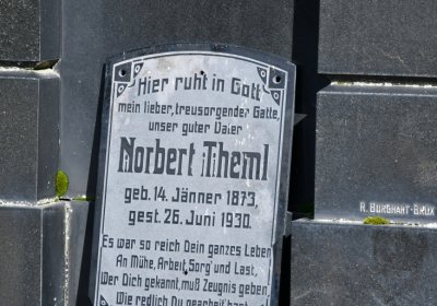 České Hamry, Omnium, 2020