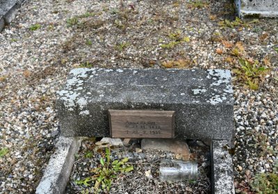 České Hamry, Omnium, 2020