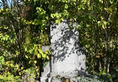 České Hamry, Omnium, 2020