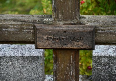 České Hamry, Omnium, 2020