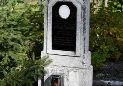 České Hamry, Omnium, 2020