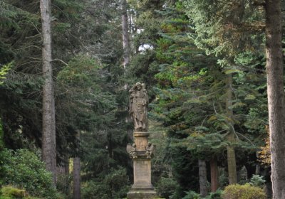 Vejprty, Omnium, 2020