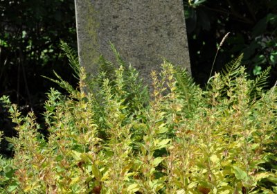 Vejprty, Omnium, 2020