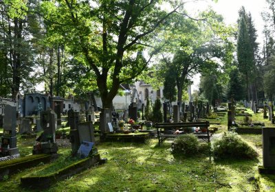 Vejprty, Omnium, 2020