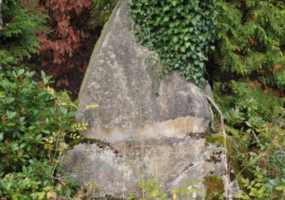 Vejprty, Omnium, 2020