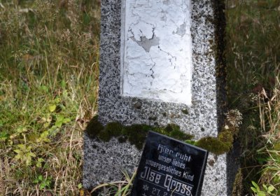 Vejprty, Omnium, 2020