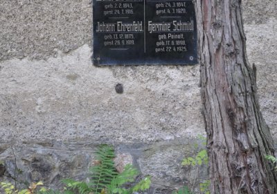 Vejprty, Omnium, 2020