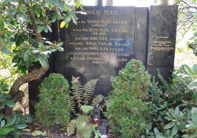 Vejprty, Omnium, 2020