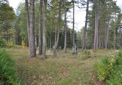 Vejprty, Omnium, 2020