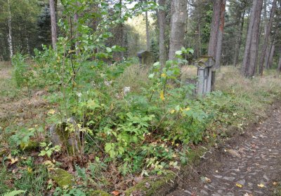 Vejprty, Omnium, 2020