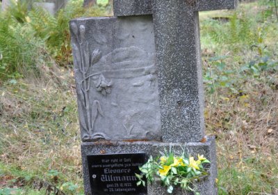 Vejprty, Omnium, 2020