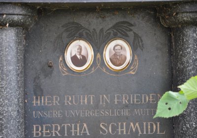 Vejprty, Omnium, 2020