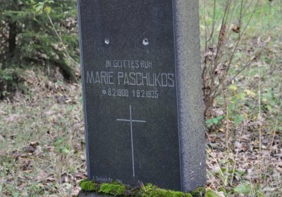 Vejprty, Omnium, 2020