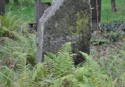 Vejprty, Omnium, 2020