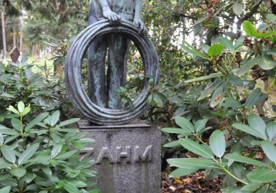 Vejprty, Omnium, 2020