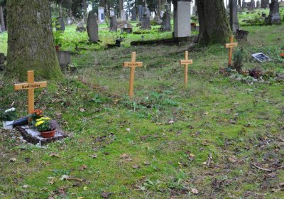 Vejprty, Omnium, 2020