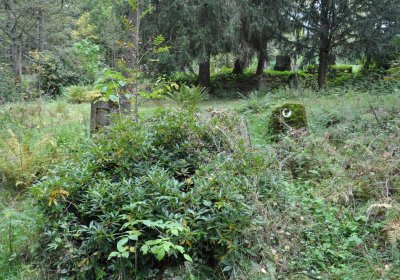 Vejprty, Omnium, 2020