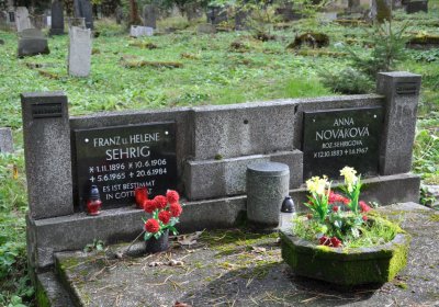 Vejprty, Omnium, 2020